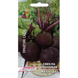 Отзыв о Семена свеклы столовой Поиск "Мулатка"