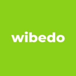 Отзыв о Приложение для подработки Wibedo