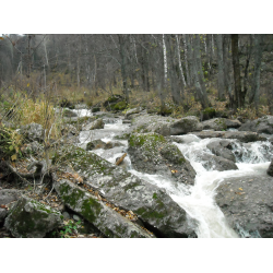 Отзыв о Водопад "Кук-Караук" (Россия, Башкортостан)