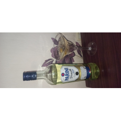 Отзыв о Вермут Parini Bianco