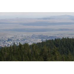 Отзыв о Заповедник "Тасбулак" (Каркаралинск, Казахстан)
