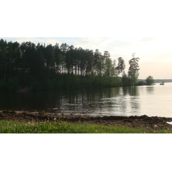 Озеро красавица Выборгский район
