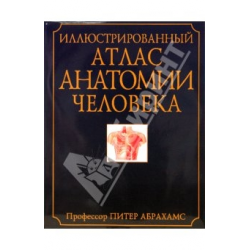 Отзыв о Книга "Иллюстрированный атлас анатомии человека" - Питер Абрахамс