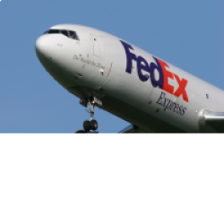 Отзыв о Международная почтовая служба FedEX Express