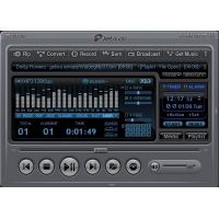 Отзыв о Jet Audio 8 - программа для Windows