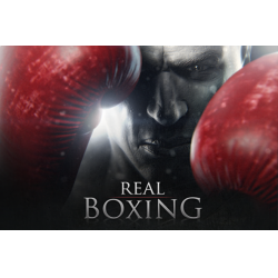 Отзыв о Real Boxing - игра для PS Vita