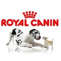 Отзыв о Сухой корм для собак Royal Canin