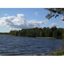 Кавголовское озеро: ближайшее место отдыха за городом для жителей севера Петербурга