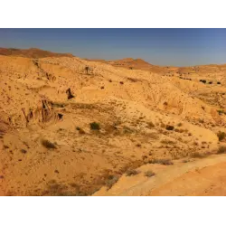 Отзыв о Отдых в Тунисе