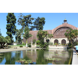 Отзыв о Бальбоа парк Balboa Park (США, Сан Диего)