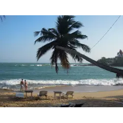 Отзыв о Пляжи Шри-Ланки