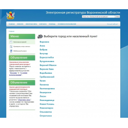Электронная регистратура тверь. Электронная регистратура Воронеж. Поликлиника Воронеж регистратура. Регистратура электроники Воронеж. Электронная регистратура Воронежской области.