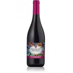 Отзыв о Вино Pasquier Desvignes Beaujolais nouveau Les Romarins