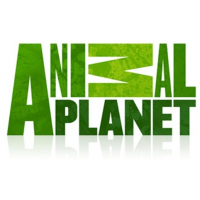 Отзыв о Телеканал Animal Planet