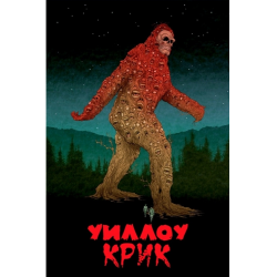 Отзыв о Фильм "Уиллоу Крик" (2013)