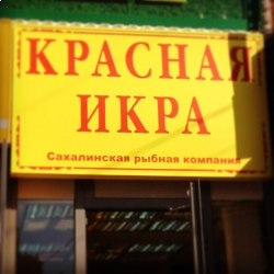 Магазин Икра На Курской