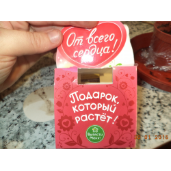 Вырасти меня набор для выращивания 867