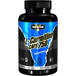 does l-carnitine make you go to the bathroom What Is L-Carnitine? How Does It Work?