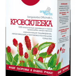 Кровохлебка БАД из Китая. Прокто Herbs. Кровохлебка в горшке. Кровохлебка аптечная фитотерапия картинка.