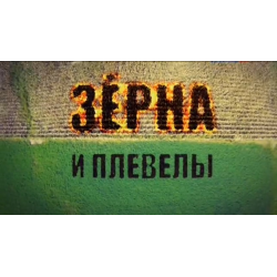 Отзыв о Документальный фильм "Зерна и плевелы" (2015)