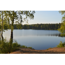 Медное озеро в Ленинградской области. Вдруг не были? | Di_travel | Дзен