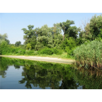 Отзыв о Село Крынки (Херсонская область)