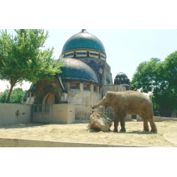 Отзыв о Зоопарк Будапешта (Венгрия, Будапешт)