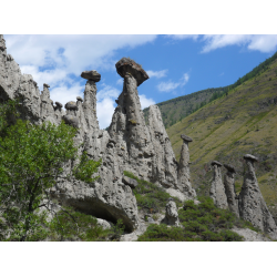 Отзыв о Урочище Аккорум (Россия, Алтай)