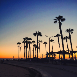 Отзыв о Пляж Venice Beach (США, Калифорния)