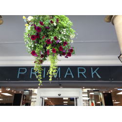 Отзыв о Магазин одежды и обуви "Primark" (Великобритания, Англия)