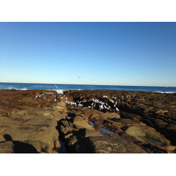 Отзыв о Пляж Ocean Baths (Австралия, Ньюкасл)