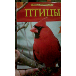 Жаль птицы. Иллюстрированная энциклопедия птиц. Энциклопедия Росмэн «птицы. Хочу знать. Птицы. Энциклопедия.