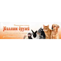 Отзыв о Ветеринарная клиника "Миллион друзей" (Россия, Ярославль)