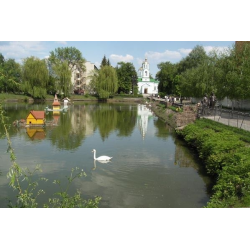 Отзыв о Парк "Миргородская лужа" (Украина, Миргород)