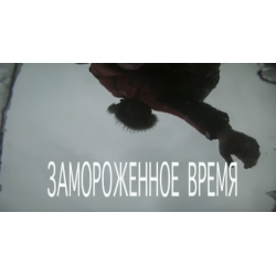 Отзыв о Документальный фильм "Замороженное время" (2014)