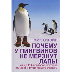 Почему у пингвинов не мерзнут лапы? Описание, фото и видео