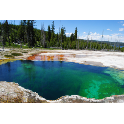 Отзыв о Национальный парк Yellowstone (США, Вайоминг)