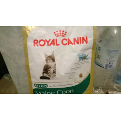 Роял Канин для кошек Мейн кун. Royal Canin Maine Coon Kitten сухой корм для котят породы Мэйн-кун до 15 месяцев. Корм для котят Роял Канин до 15 месяцев. Корм для Мейн куна сухой.