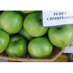 Отзыв о Яблоки сорта "Семиренко"