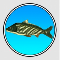 Отзыв о Реальная Рыбалка - игра для Android