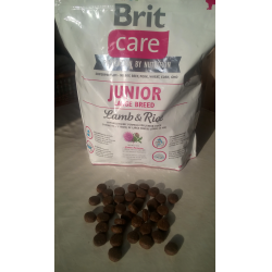 Brit care junior large breed lamb and rice hotsell