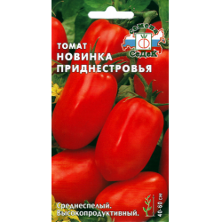 Сорт помидор новинка Приднестровья. Новинка Приднестровье сорт. Томаты новинка Приднестровья фото. Томат цилиндрический.