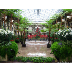 Отзыв о Сады Лонгвуда / Longwood Gardens (США, Пенсильвания)