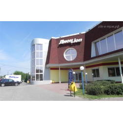 Лион новомосковск. Лион новомосковск
