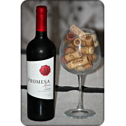 Отзыв о Вино красное сухое Promesa Carmenere Reserva