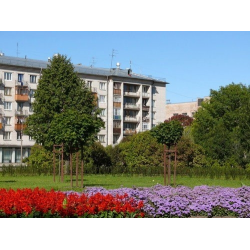 Красносельский ДК красное село. Санкт-Петербург Красносельский ДК. КДК Красносельского района Санкт-Петербурга. КДК Красносельский фото здания.