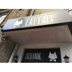 Отзыв о Котокафе "Cat Cafe" (Литва, Вильнюс)