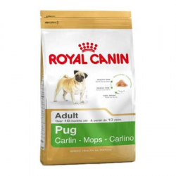 Отзыв о Сухой корм для взрослых собак породы мопс Royal Canin Pug