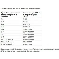 Фото Анализ крови на ХГЧ во время беременности