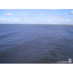 Отзыв о Отдых в Приморско-Ахтарске (Россия, Краснодарский край)